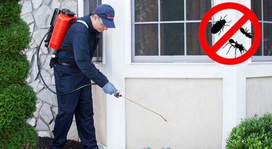 Kestel Bit İlaçlama böcek ilaçlama ve haşere kontrolü — ilaclama-tr.com